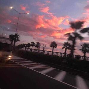 国产一产一极AV片
